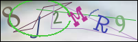 Registration Image