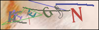Registration Image