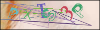 Registration Image
