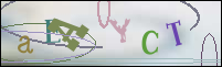 Registration Image