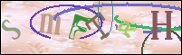 Registration Image